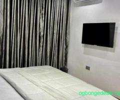 3-Bedroom Fully Furnished Apartment in Lekki - Image 5/10
